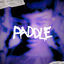 Cover Paddle