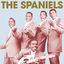 Cover The Spaniels