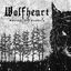 Cover Wolves of Karelia