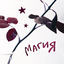 Cover магия