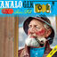 Cover Soens Folk