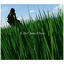 Cover 呼吸