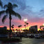 Cover sunset dreams