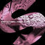 Cover Gin & Vodka