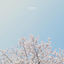 Cover Atmosphere