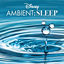 Cover Disney Ambient: Sleep