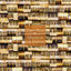 Cover Organum for Stefano