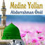 Cover Medine Yolları