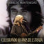 Cover Celebrando 50 Anos de Estrada