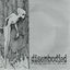 Cover If God Only Knew the Rest Were Dead