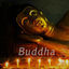 Cover Buddha