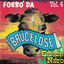 Cover Forró da Brucelose & Gilson Neto, Vol. 4