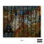 Cover ZOO