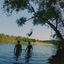 Cover Frei