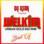 Cover Welkim Urban Gold Raï R'N'B Best Of