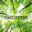 Cover Vogelstimmen (Musiktherapie)