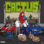 Cover Cactus vol.2