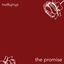 Cover The Promise