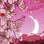 Cover Cherry Blossoms