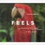 Cover Feels (feat. Pharrell Williams, Katy Perry & Big Sean)