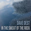 Cover In the Sweat of the Rock