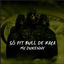 Cover Só Pit Bull De Raça
