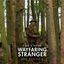 Cover I Am a Poor Wayfaring Stranger (from the film "1917")