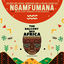 Cover Ngamfumana