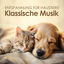 Cover Entspannung für Haustiere - Klassische Musik