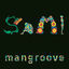Cover Sami