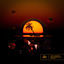 Cover Galapagos EP