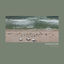 Cover Transient