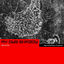 Cover My Own Shadow: Approaching