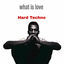 Cover What Is Love Hard Techno
