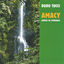 Cover Amacy - Cantos de Umbanda
