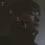 Cover Fallen