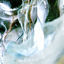 Cover Godspeed >