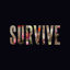 Cover Survive - EP