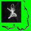 Cover Fool EP