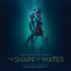 Cover You'll Never Know (From "The Shape Of Water" Soundtrack)