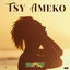 Cover Tsy Ameko