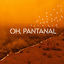 Cover Oh, Pantanal