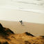 Cover seventh wave