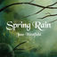 Cover Spring Rain