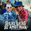 Cover Si Las Gatas Se Amotinan