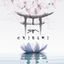 Cover Origami