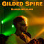 Cover Gilded Spire