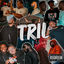Cover Tril