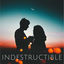 Cover Indestructible