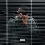 Cover Do It